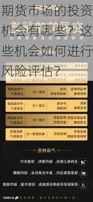 期货市场的投资机会有哪些？这些机会如何进行风险评估？