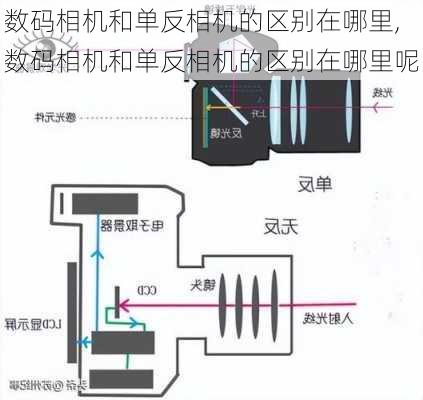 数码相机和单反相机的区别在哪里,数码相机和单反相机的区别在哪里呢