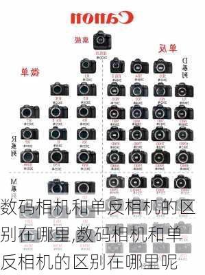 数码相机和单反相机的区别在哪里,数码相机和单反相机的区别在哪里呢