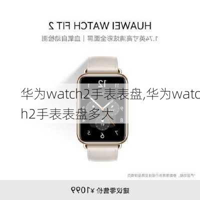 华为watch2手表表盘,华为watch2手表表盘多大