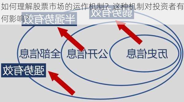 如何理解股票市场的运作机制？这种机制对投资者有何影响？