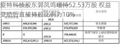 爱特科技股东郭凤鸣增持52.53万股 权益变动后直接持股比例为10%