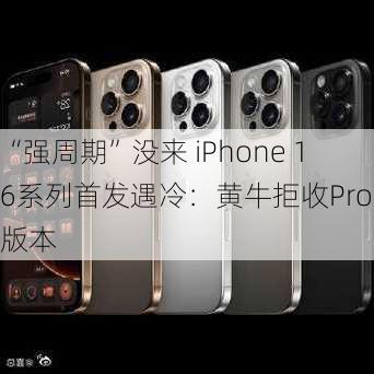 “强周期”没来 iPhone 16系列首发遇冷：黄牛拒收Pro等版本