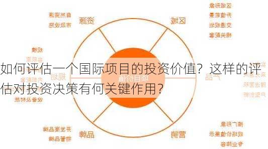 如何评估一个国际项目的投资价值？这样的评估对投资决策有何关键作用？