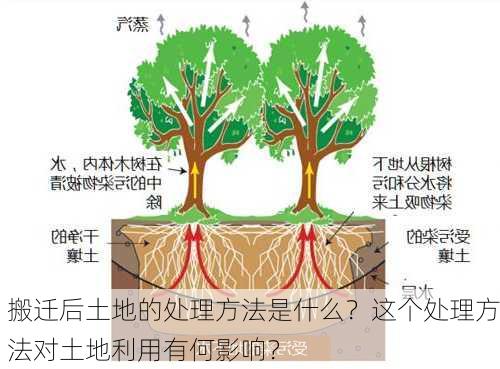 搬迁后土地的处理方法是什么？这个处理方法对土地利用有何影响？