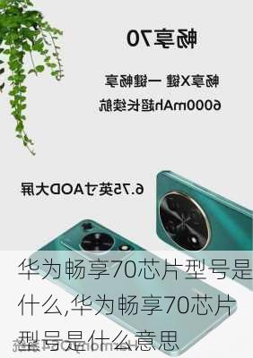 华为畅享70芯片型号是什么,华为畅享70芯片型号是什么意思