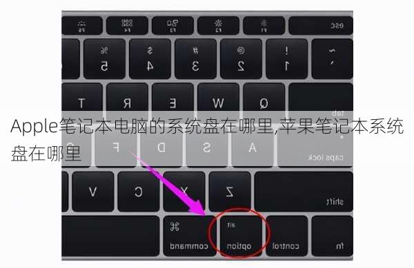Apple笔记本电脑的系统盘在哪里,苹果笔记本系统盘在哪里
