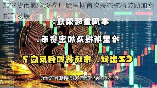 加密货币概念股拉升 哈里斯首次表态称将鼓励加密货币发展