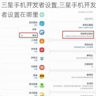 三星手机开发者设置,三星手机开发者设置在哪里