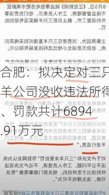 合肥：拟决定对三只羊公司没收违法所得、罚款共计6894.91万元