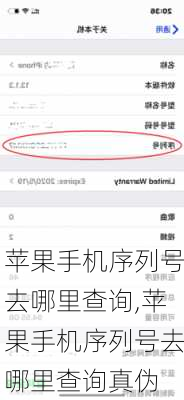 苹果手机序列号去哪里查询,苹果手机序列号去哪里查询真伪