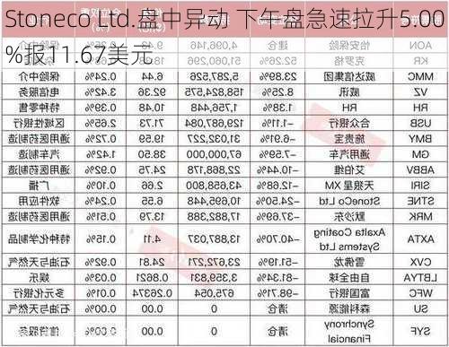 Stoneco Ltd.盘中异动 下午盘急速拉升5.00%报11.67美元