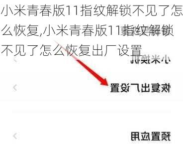 小米青春版11指纹解锁不见了怎么恢复,小米青春版11指纹解锁不见了怎么恢复出厂设置