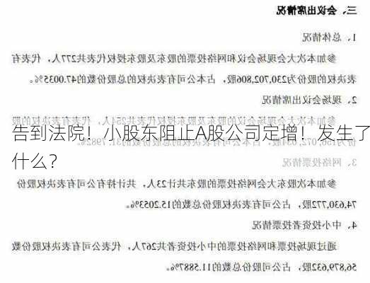 告到法院！小股东阻止A股公司定增！发生了什么？