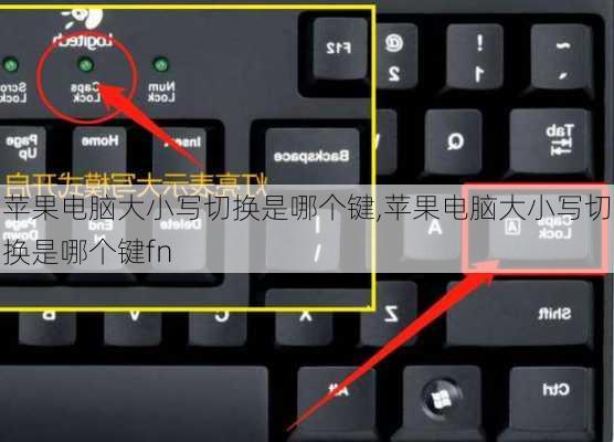 苹果电脑大小写切换是哪个键,苹果电脑大小写切换是哪个键fn
