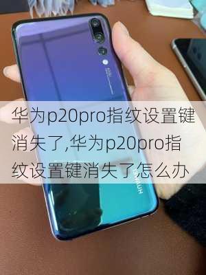 华为p20pro指纹设置键消失了,华为p20pro指纹设置键消失了怎么办