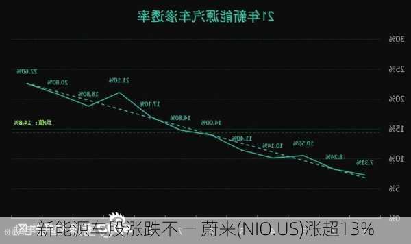 新能源车股涨跌不一 蔚来(NIO.US)涨超13%