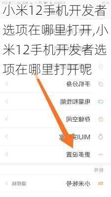 小米12手机开发者选项在哪里打开,小米12手机开发者选项在哪里打开呢