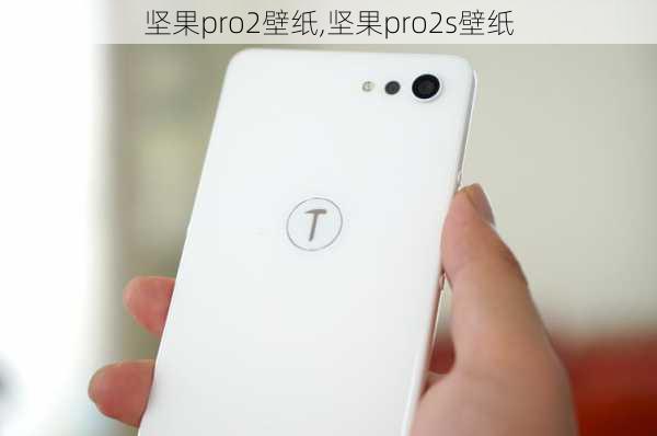 坚果pro2壁纸,坚果pro2s壁纸