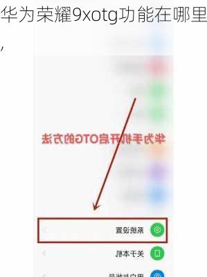 华为荣耀9xotg功能在哪里,