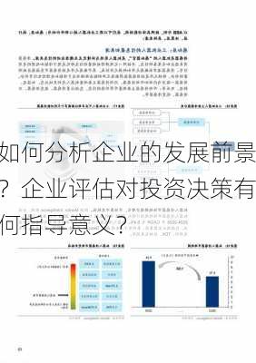 如何分析企业的发展前景？企业评估对投资决策有何指导意义？