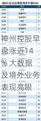 神州控股早盘涨近14% 大数据及境外业务表现亮眼