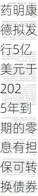 药明康德拟发行5亿美元于2025年到期的零息有担保可转换债券