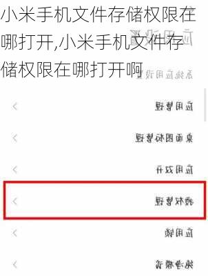 小米手机文件存储权限在哪打开,小米手机文件存储权限在哪打开啊