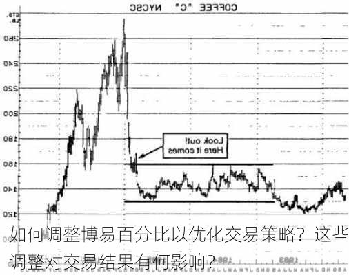 如何调整博易百分比以优化交易策略？这些调整对交易结果有何影响？