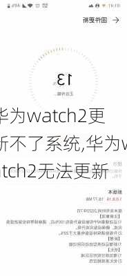 华为watch2更新不了系统,华为watch2无法更新