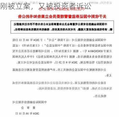 刚被立案，又被投资者诉讼