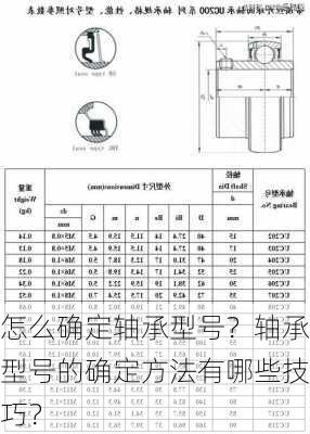 怎么确定轴承型号？轴承型号的确定方法有哪些技巧？