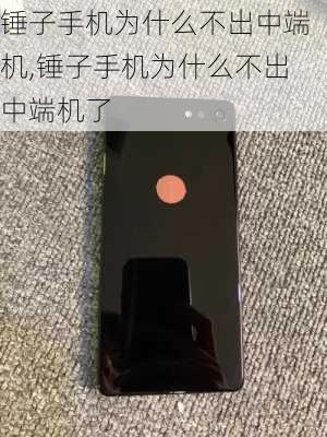 锤子手机为什么不出中端机,锤子手机为什么不出中端机了