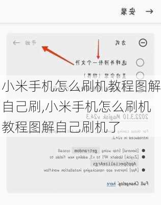 小米手机怎么刷机教程图解自己刷,小米手机怎么刷机教程图解自己刷机了