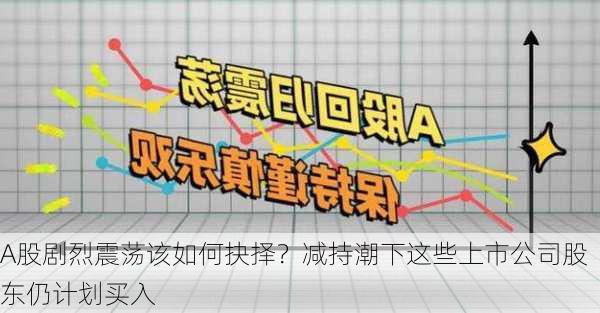 A股剧烈震荡该如何抉择？减持潮下这些上市公司股东仍计划买入