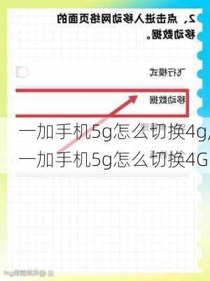 一加手机5g怎么切换4g,一加手机5g怎么切换4G