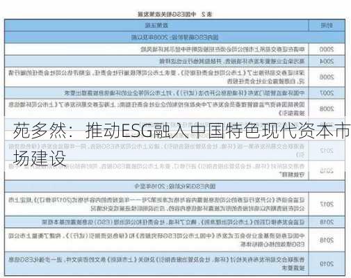 苑多然：推动ESG融入中国特色现代资本市场建设