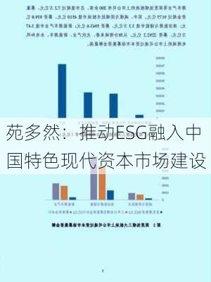 苑多然：推动ESG融入中国特色现代资本市场建设