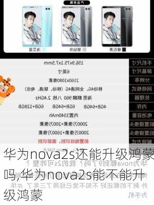 华为nova2s还能升级鸿蒙吗,华为nova2s能不能升级鸿蒙