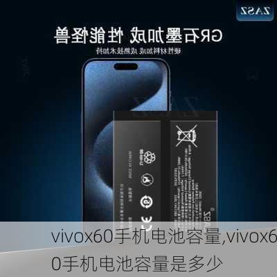 vivox60手机电池容量,vivox60手机电池容量是多少