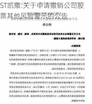 ST凯撒:关于申请撤销公司股票其他风险警示的公告