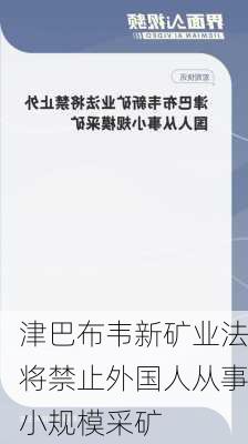 津巴布韦新矿业法将禁止外国人从事小规模采矿