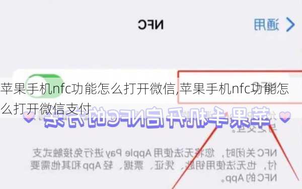 苹果手机nfc功能怎么打开微信,苹果手机nfc功能怎么打开微信支付