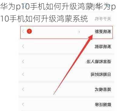 华为p10手机如何升级鸿蒙,华为p10手机如何升级鸿蒙系统
