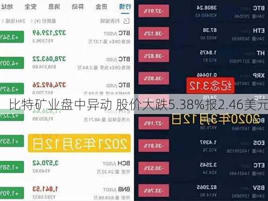 比特矿业盘中异动 股价大跌5.38%报2.46美元