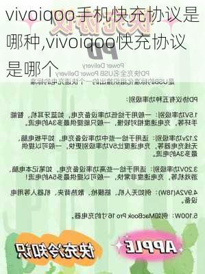 vivoiqoo手机快充协议是哪种,vivoiqoo快充协议是哪个