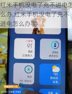 红米手机没电了充不进电怎么办,红米手机没电了充不进电怎么办呢