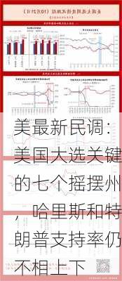 美最新民调：美国大选关键的七个摇摆州，哈里斯和特朗普支持率仍不相上下