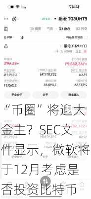 “币圈”将迎大金主？SEC文件显示，微软将于12月考虑是否投资比特币