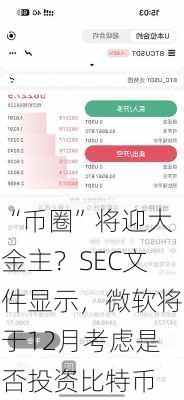 “币圈”将迎大金主？SEC文件显示，微软将于12月考虑是否投资比特币